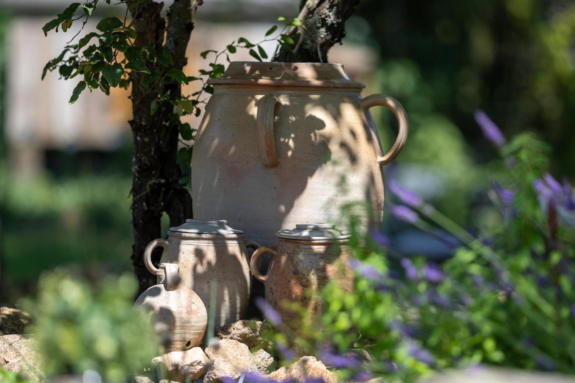 Louroux-de-Beaune Domaine La Pomme De Pin Bed & Breakfast エクステリア 写真